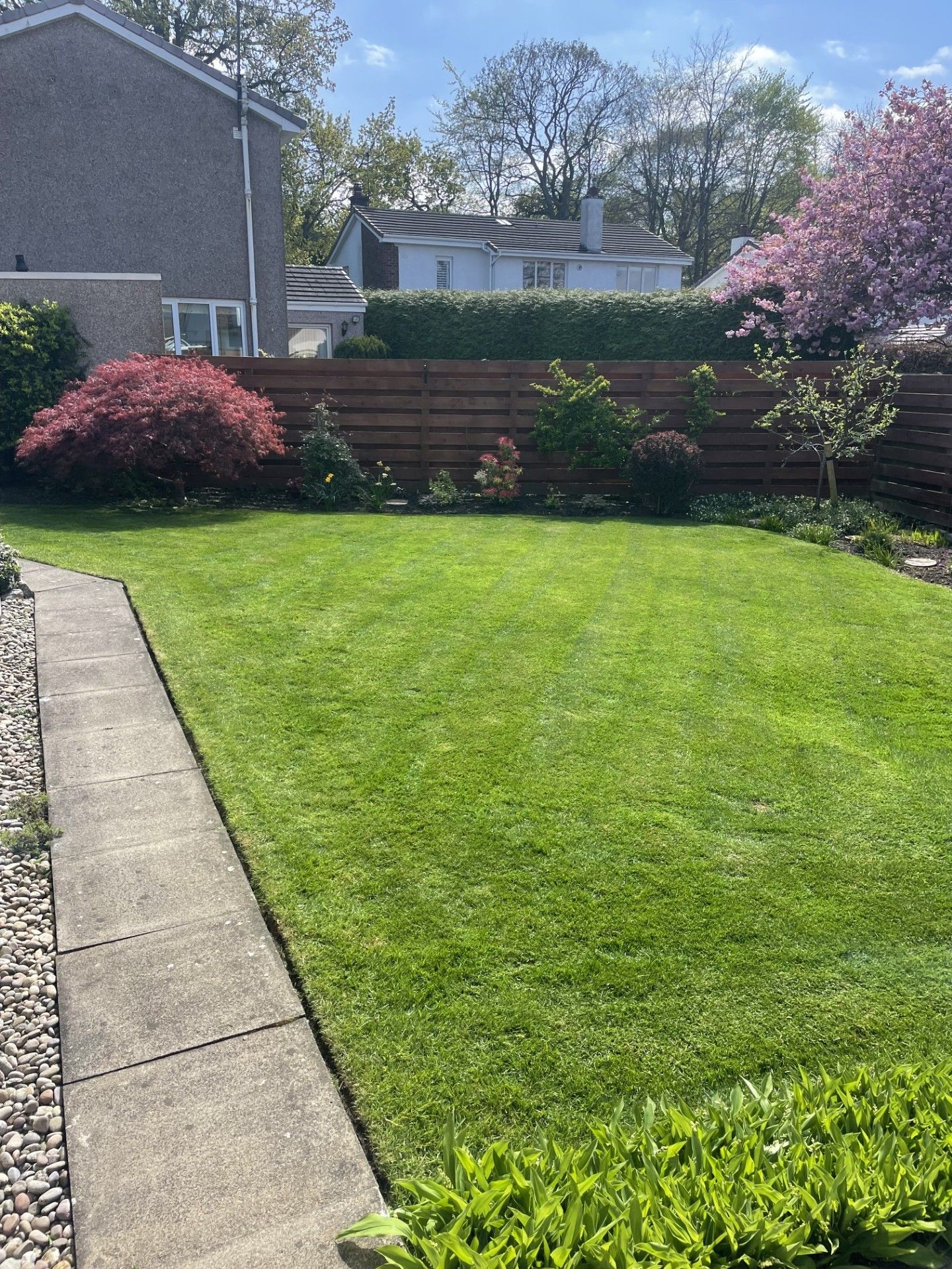 Manicured Back Garden